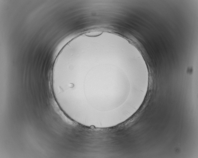 X0000111180812200908121110