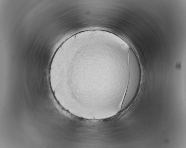 X0000111180813200908121110