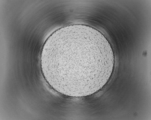 X0000111180814200908121110