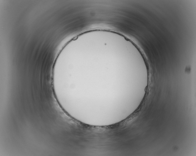 X0000111180815200908121110