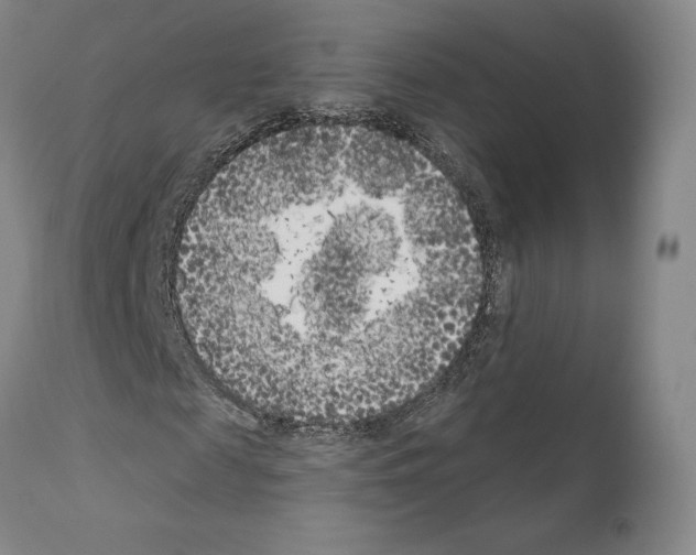 X0000111180817200908121109