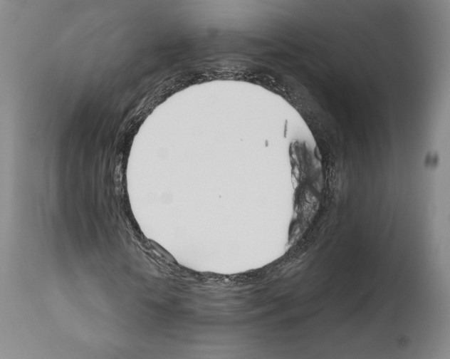 X0000111180818200908121109