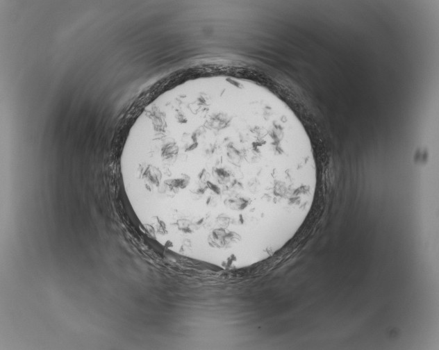 X0000111180822200908121109