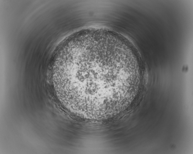 X0000111180823200908121109