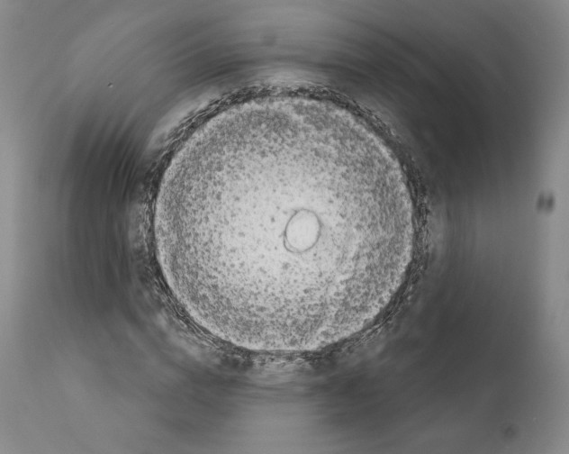 X0000111180824200908121109