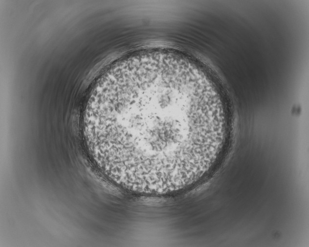 X0000111180825200908121109