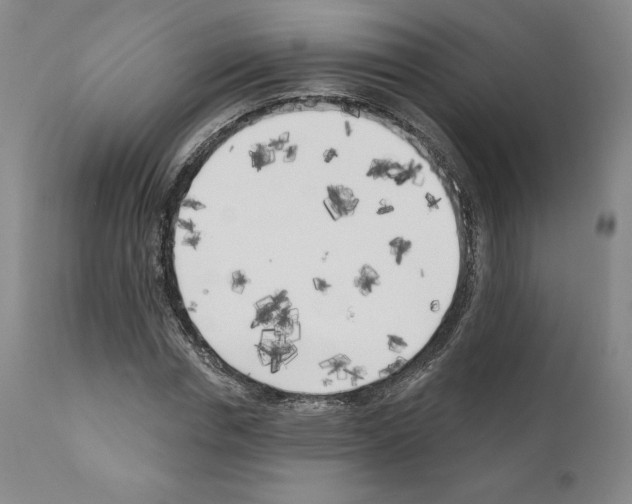 X0000111180826200908121109