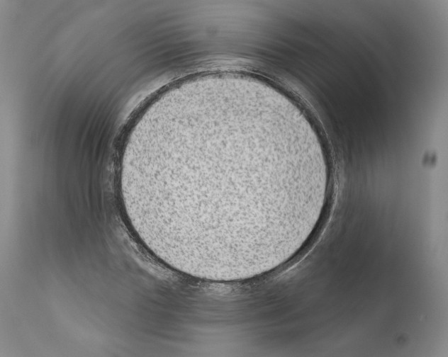 X0000111180827200908121109