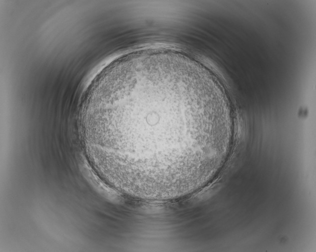 X0000111180828200908121109