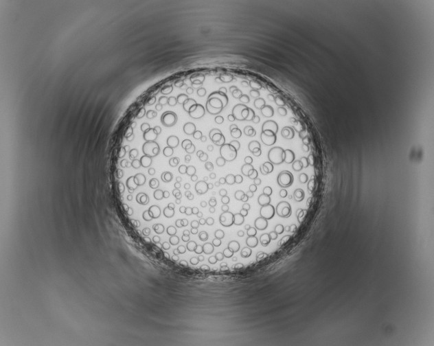 X0000111180830200908121109