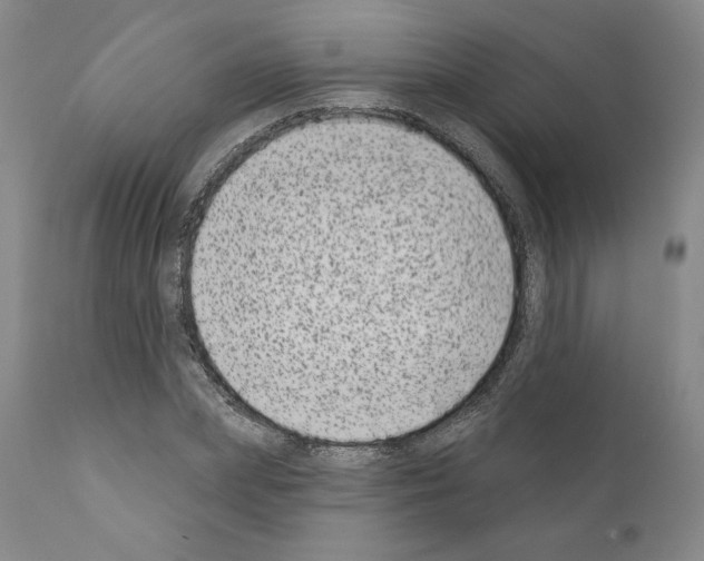 X0000111180831200908121109