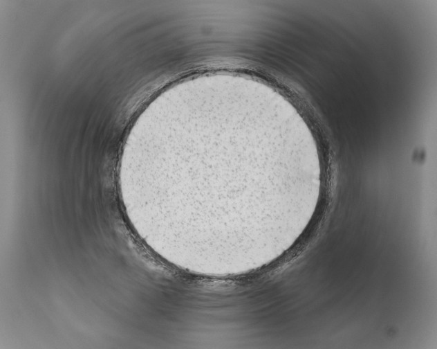 X0000111180833200908121109