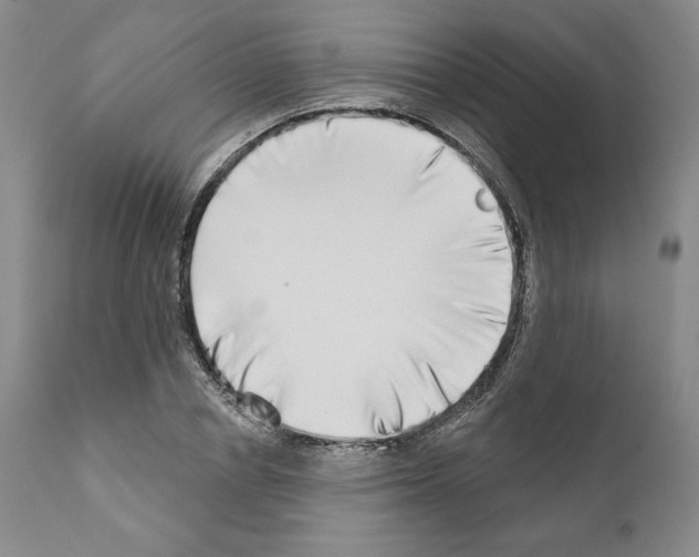 X0000111180834200908121109