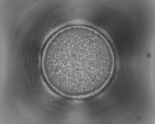 X0000111180839200908121109