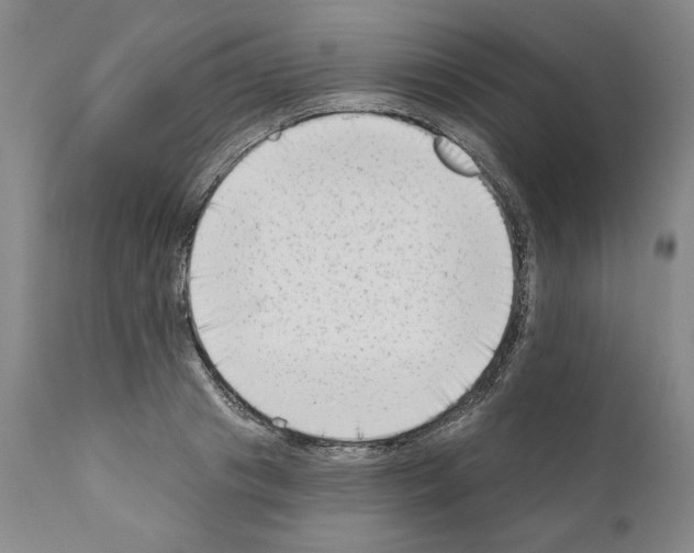 X0000111180841200908121109