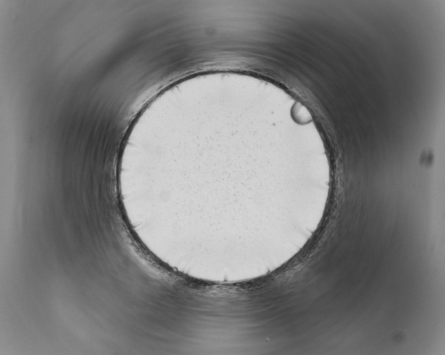 X0000111180842200908121109