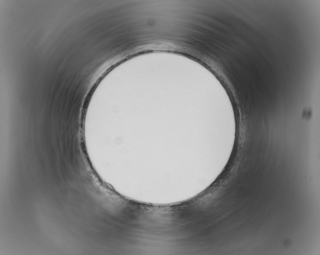 X0000111180845200908121110