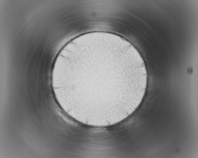 X0000111180846200908121110