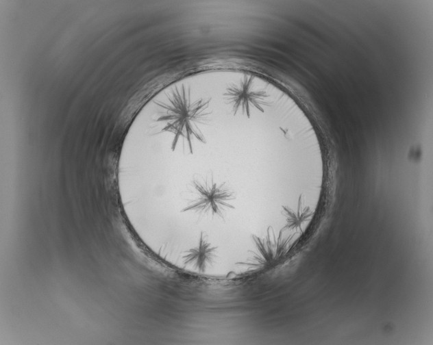 X0000111180849200908121110