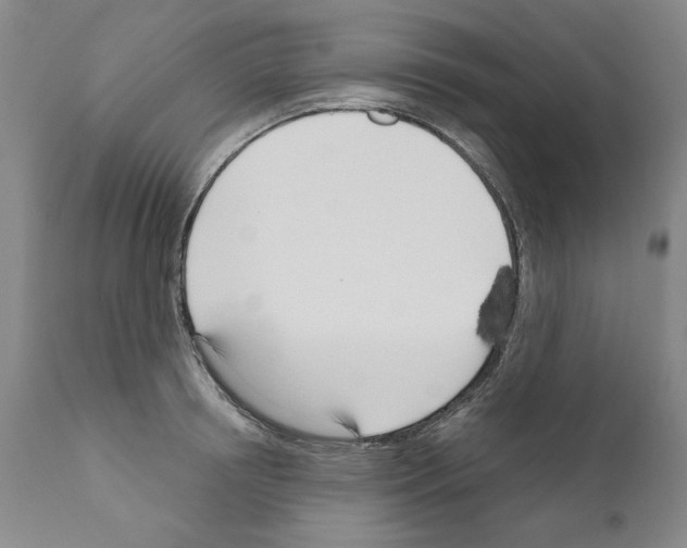 X0000111180850200908121110