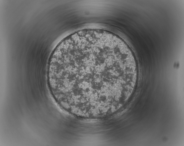 X0000111180853200908121110