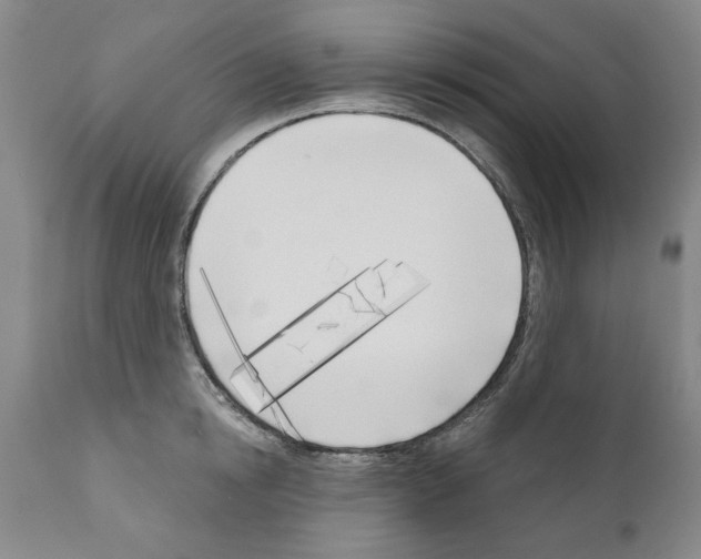 X0000111180854200908121110