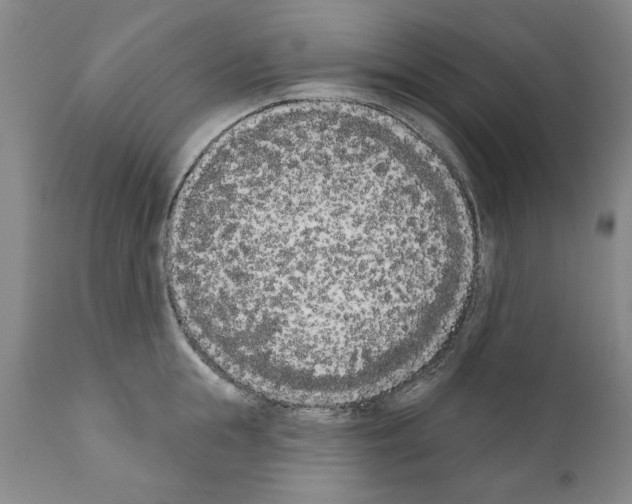 X0000111180855200908121110