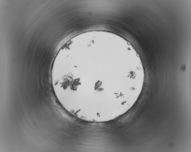 X0000111180858200908121110