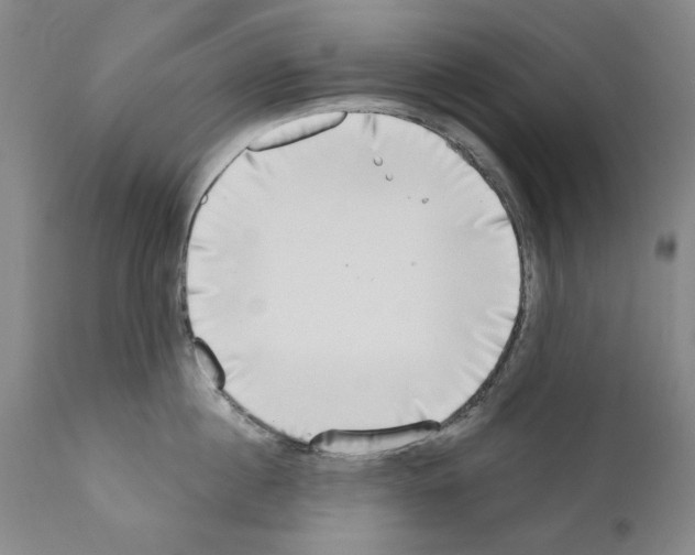 X0000111180860200908121110