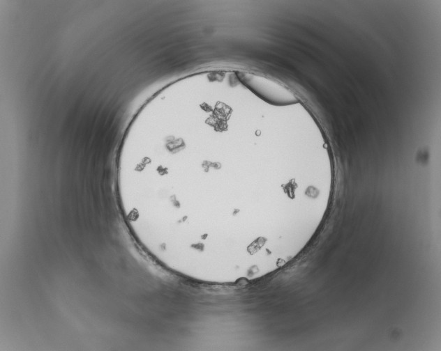 X0000111180862200908121110