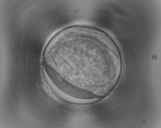 X0000111180864200908121110