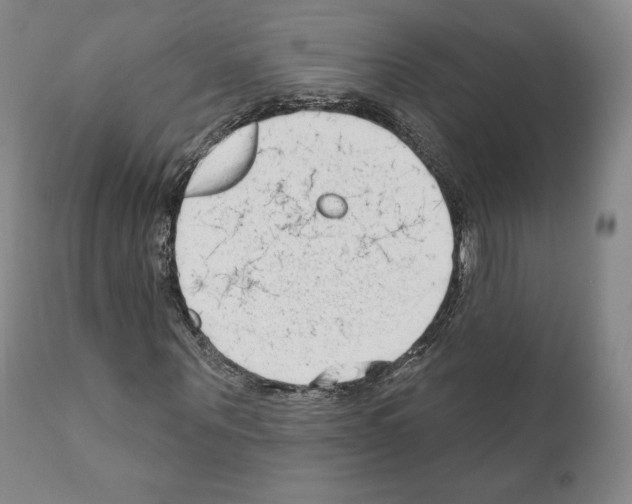 X0000111180867200908121109