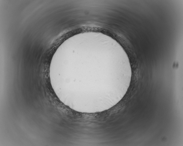 X0000111180870200908121109