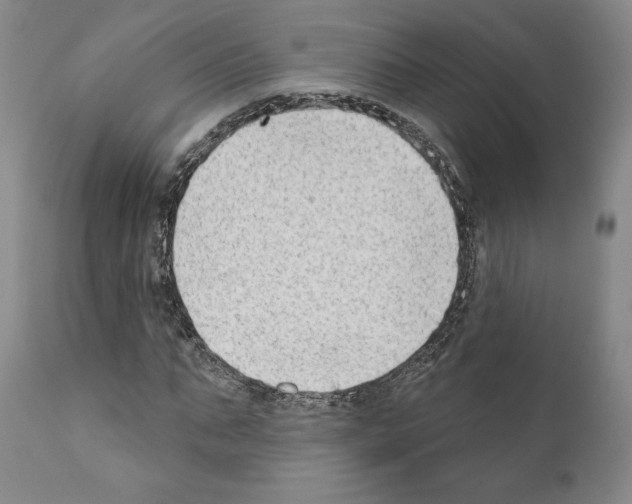 X0000111180871200908121109