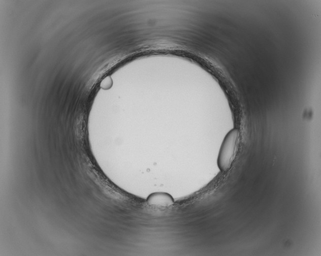 X0000111180873200908121109