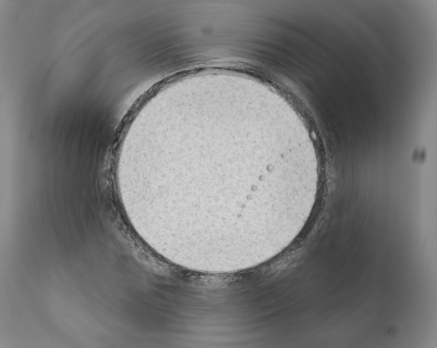 X0000111180875200908121109