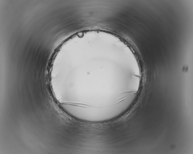 X0000111180876200908121109