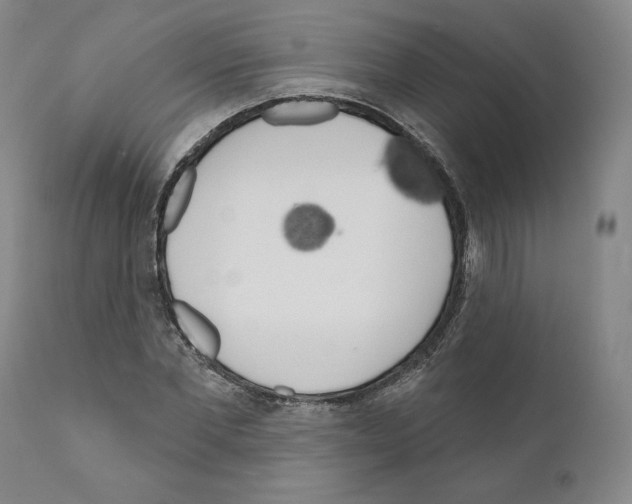 X0000111180877200908121109