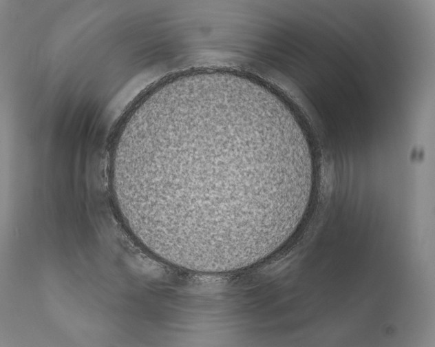 X0000111180878200908121109