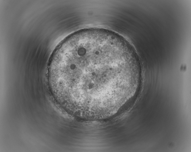 X0000111180879200908121109