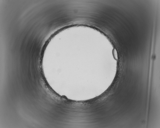 X0000111180880200908121109