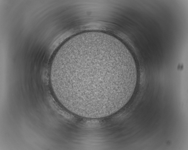 X0000111180882200908121109