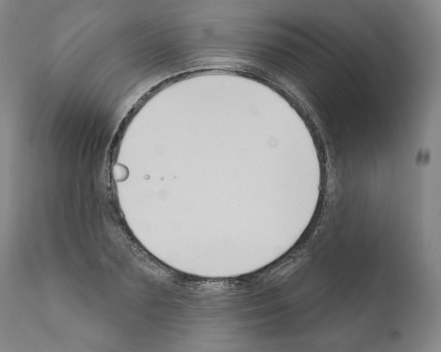 X0000111180883200908121109