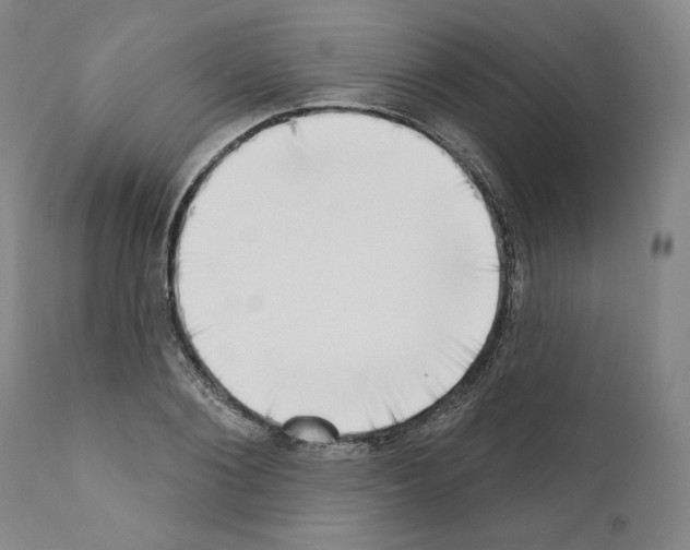 X0000111180884200908121109