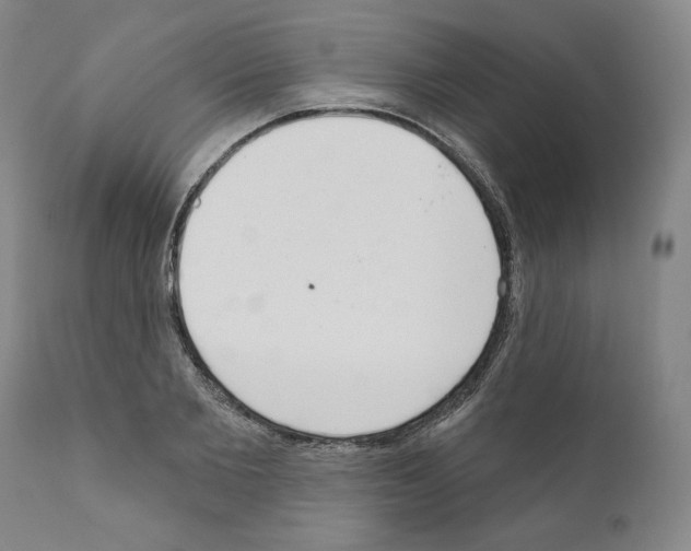 X0000111180885200908121109