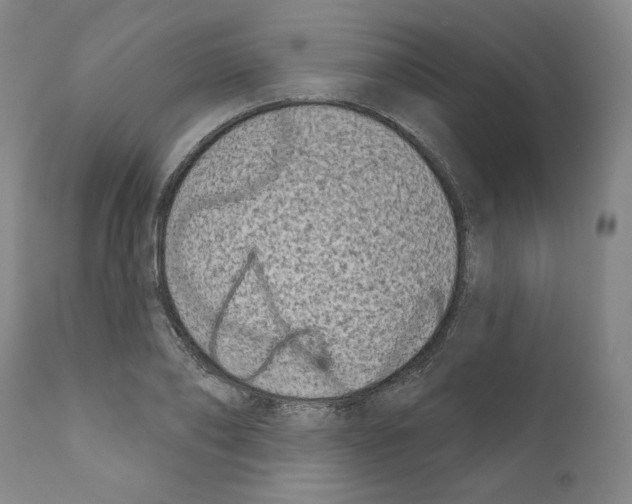 X0000111180886200908121109