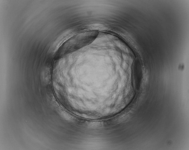 X0000111180889200908121109