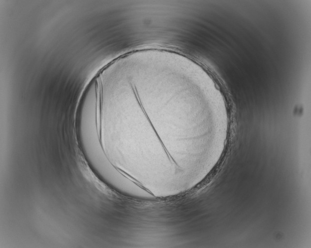 X0000111180892200908121109