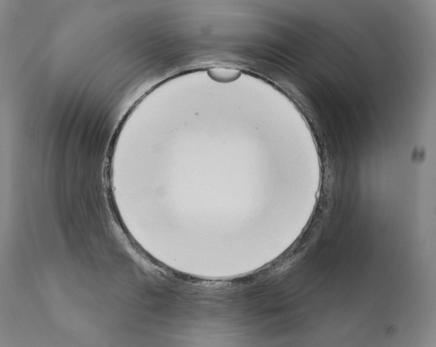 X0000111180893200908121109