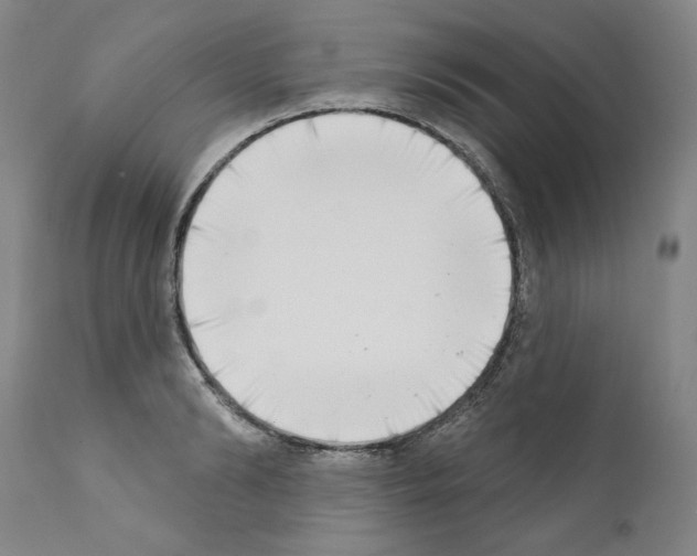 X0000111180894200908121109